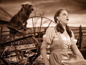 Judy-Garland-and-Toto-in-The-Wizard-of-Oz1-e1368657135190
