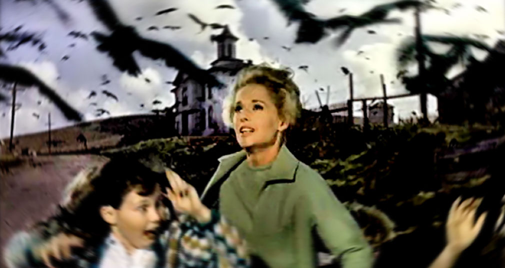 The Birds ***** (1963, Tippi Hedren, Rod Taylor, Suzanne Pleshette