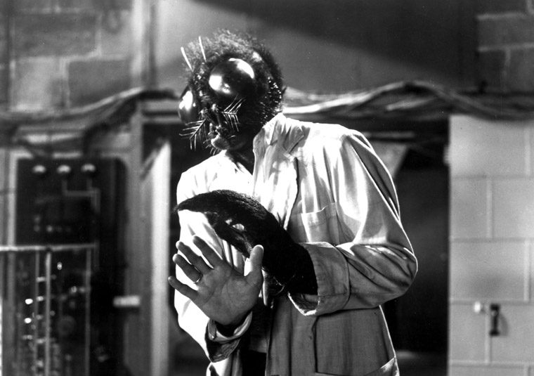 The Fly **** (1958, David Hedison, Patricia Owens, Vincent Price