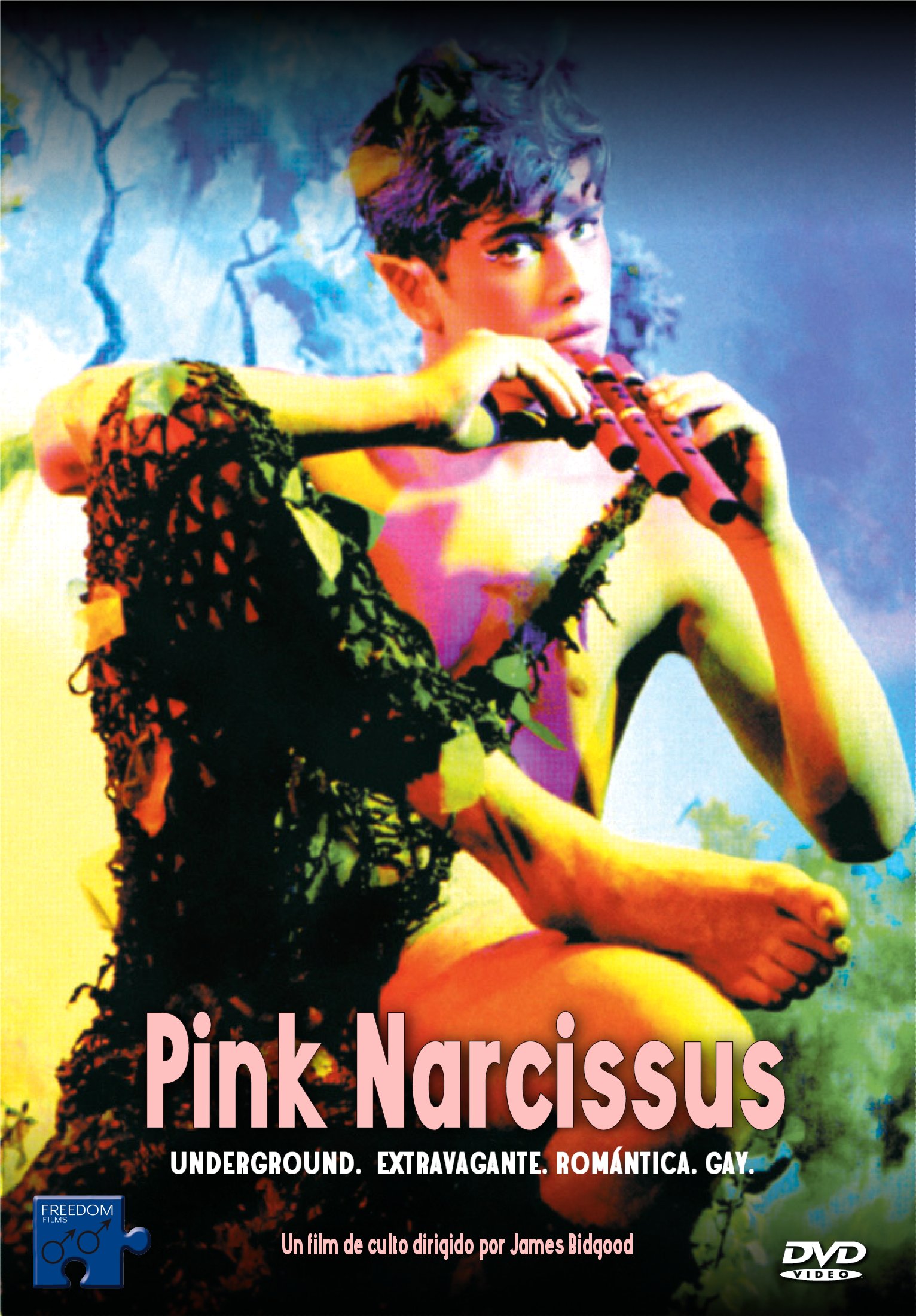 Pink Narcissus – Classic Film Review 395 | Derek Winnert