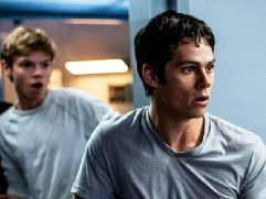 Review: 'The Maze Runner' Starring Dylan O'Brien, Kaya Scodelario, Patricia  Clarkson, Will Poulter And More – IndieWire