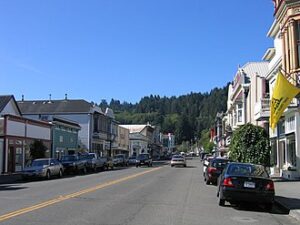 The town of Ferndale in Northern California stands in for Salem's Lot in the miniseries.