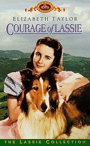 Son of Lassie Review